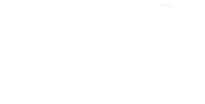 Rich Tech Development